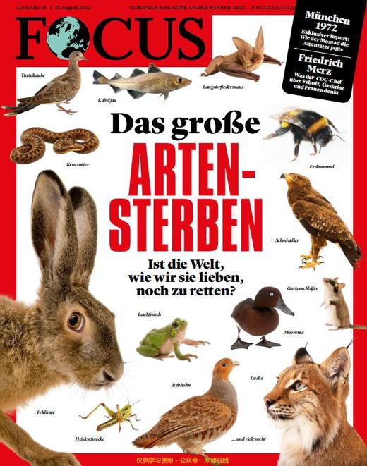 Focus - 2022.08.27 商品图0