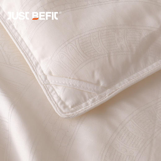 【品牌直发】加倍生活 臻选桑蚕丝被 全棉60s面料 提花工艺 商品图4