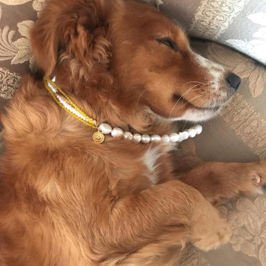 北京仓｜Barbóra-Sunrise-黄玛瑙 珍珠 项链［希腊设计师] 商品图2