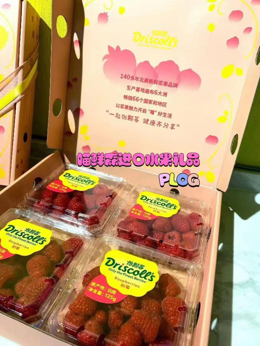 【礼盒】山野零食红树莓12盒一件（酸甜可口，营养爆棚） 商品图2