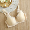 TG-TG02S165真丝记忆软钢圈文胸 薄款有型蕾丝性感桑蚕丝内衣大胸款 商品缩略图4