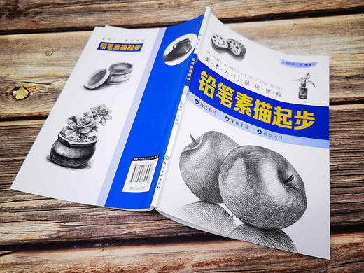 (仓发) 美术入门基础教程——铅笔素描起步/化学工业出版社/张恒国，等/9787122365798 商品图6
