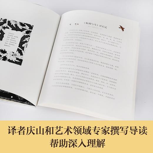 (仓发) 蚯蚓与鸟 乐乐趣 6岁+ 儿童绘本故事书  体悟生活 于大千世界发现美好/未来出版社/[英]科拉莉·比克福德-史密斯/9787541771156 商品图5