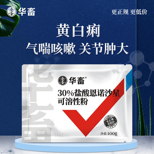 华畜30%盐酸恩诺沙星可溶性粉 气喘咳嗽 关节肿大 进口溶剂 吸收更好 细菌性疾病 支原体感染 商品图0