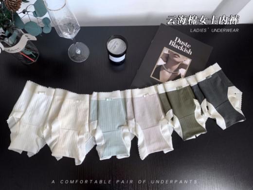 【爽滑亲肤】简出色女士云海绵内裤6条装 商品图4