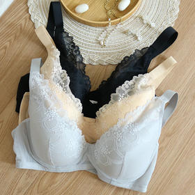 TG-TG02S165真丝记忆软钢圈文胸 薄款有型蕾丝性感桑蚕丝内衣大胸款