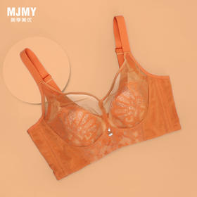 美季美优S宠爱系列水晶杯文胸W251B15