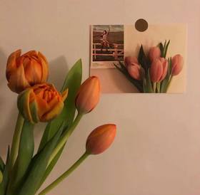 一个女人最好的活法：散养儿女，富养自己