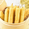 傣族特色·褚橙西双版纳拇指小玉米 老品种放心吃 商品缩略图1