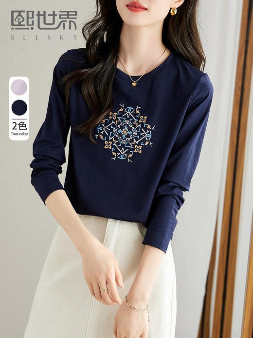 【专属特价】长袖T恤女秋季新款民族风复古刺绣百搭宽松圆领体恤衫 商品图0