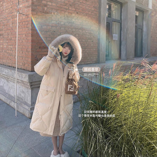 金蘑菇菇【爱斯基摩小冰糖】降温了～你需要一件保命级长羽绒服 商品图1