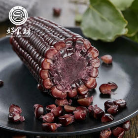 CY-山西忻州黑玉米6根装