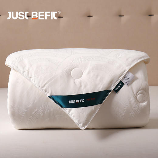 【品牌直发】加倍生活 臻选桑蚕丝被 全棉60s面料 提花工艺 商品图2