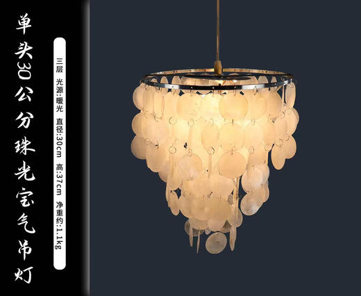 单头珠光宝气贝壳吊灯（运费自理） 商品图0