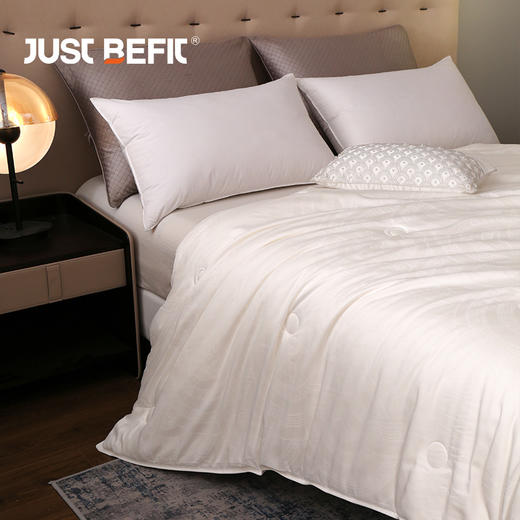 【品牌直发】加倍生活 臻选桑蚕丝被 全棉60s面料 提花工艺 商品图6