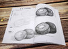 (仓发) 美术入门基础教程——铅笔素描起步/化学工业出版社/张恒国，等/9787122365798 商品缩略图7
