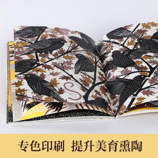 (仓发) 蚯蚓与鸟 乐乐趣 6岁+ 儿童绘本故事书  体悟生活 于大千世界发现美好/未来出版社/[英]科拉莉·比克福德-史密斯/9787541771156 商品图6