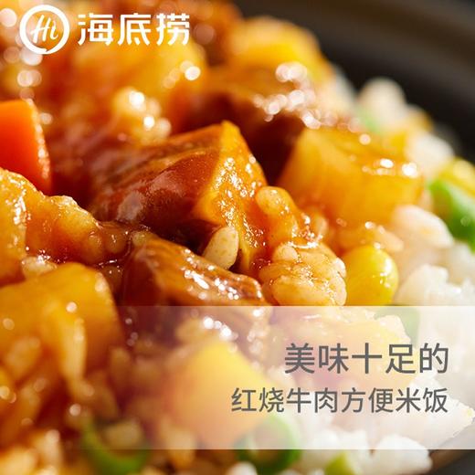 海底捞红烧牛肉自热米饭272g 商品图3