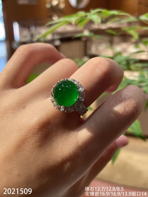 2021509，玻璃帝王绿蛋面戒指。具体价格微信咨询 商品图0