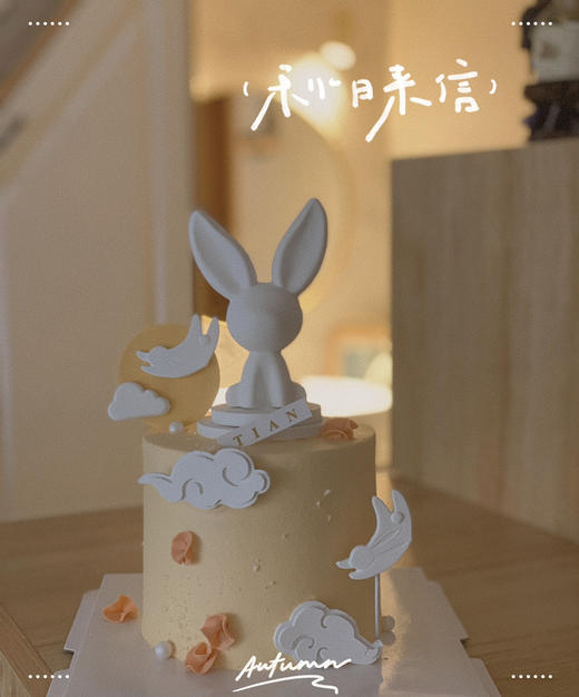 玉兔蛋糕，动物奶油蛋糕，巧克力玉兔、全部装饰可食用 商品图3