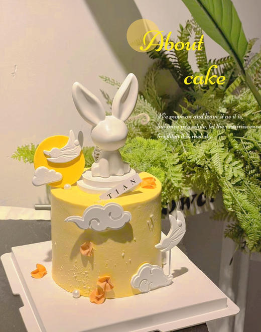 玉兔蛋糕，动物奶油蛋糕，巧克力玉兔、全部装饰可食用 商品图8