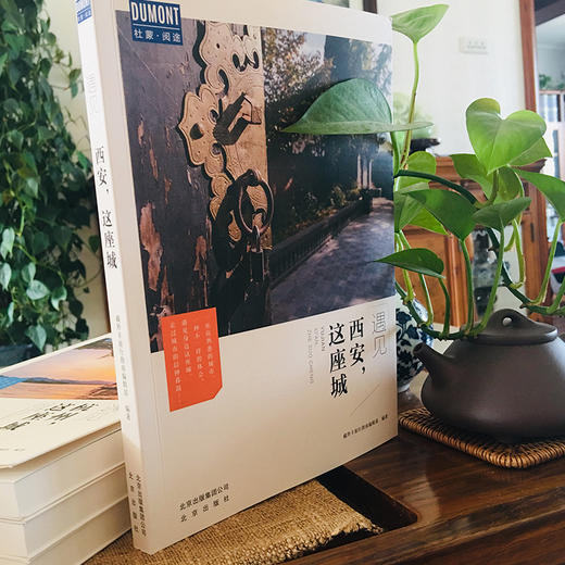 遇见西安，这座城 商品图1