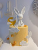 玉兔蛋糕，动物奶油蛋糕，巧克力玉兔、全部装饰可食用 商品缩略图2