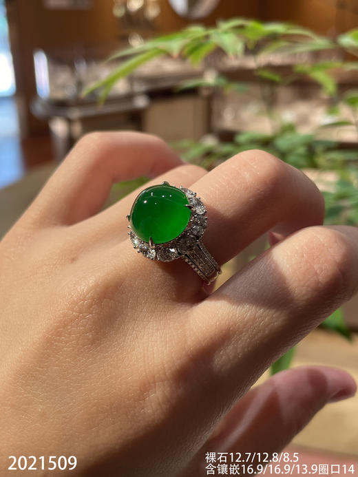 2021509，玻璃帝王绿蛋面戒指。具体价格微信咨询 商品图1