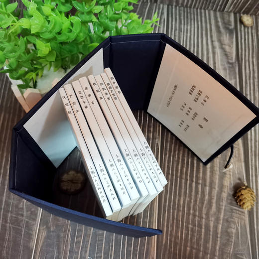 儒林外史 绘画本(全8册) 商品图2