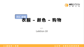 【词汇】衣服-颜色-购物丨L10