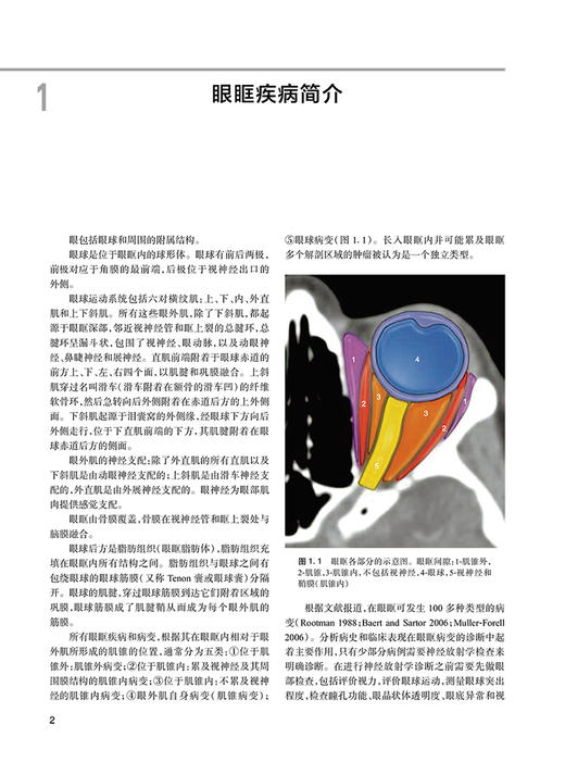 颅底病变CT和MRI影像诊断精要 何波 张竹花主译 颅底影像学眼眶颅面部前颅窝中颅窝后颅窝病变 人民卫生出版社9787117329507 商品图4