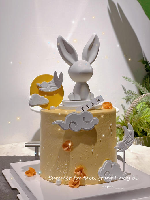 玉兔蛋糕，动物奶油蛋糕，巧克力玉兔、全部装饰可食用 商品图5