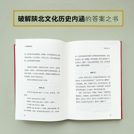 了不起的陕北话：3000年农耕、游牧文化渗透史 商品图2