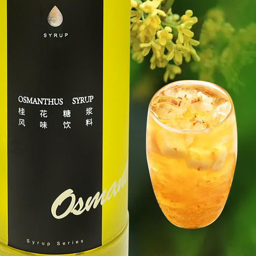 D3 【爵世糖浆系列】桂花糖浆风味饮料1.2KG/瓶 商品图2