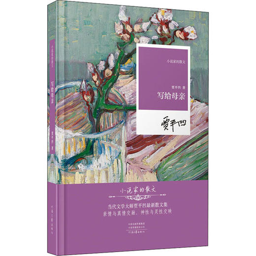 写给母亲 商品图0