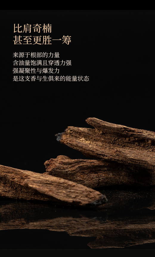 AWX559富森红土沉根 商品图2