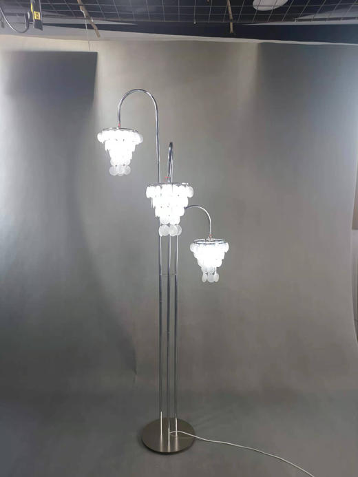 3头珠光宝气贝壳路引（运费自理） 商品图1