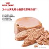 皇家天然进口离乳期猫奶糕罐头猫咪主食罐头195g/罐 商品缩略图3