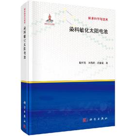 染料敏化太阳电池/戴松元，刘伟庆，闫金定 著