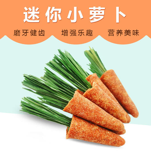 小宠磨牙小萝卜多规格 磨牙零食袋装  兔子龙猫仓鼠零食批发 商品图0