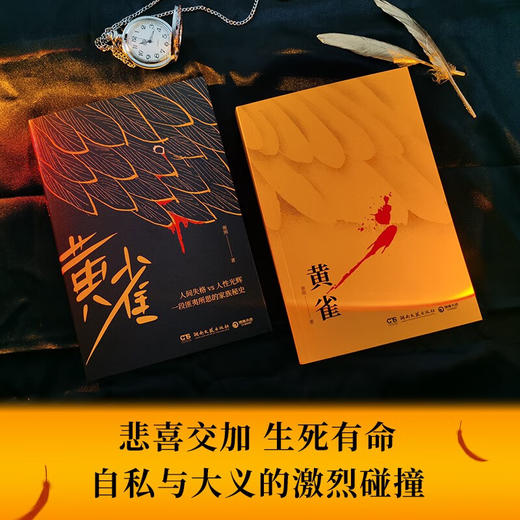 黄雀 谢刚 著 小说 商品图2