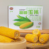 远味GKK甜糯玉米棒东北甜糯玉米棒220g*10穗彩箱 商品缩略图5