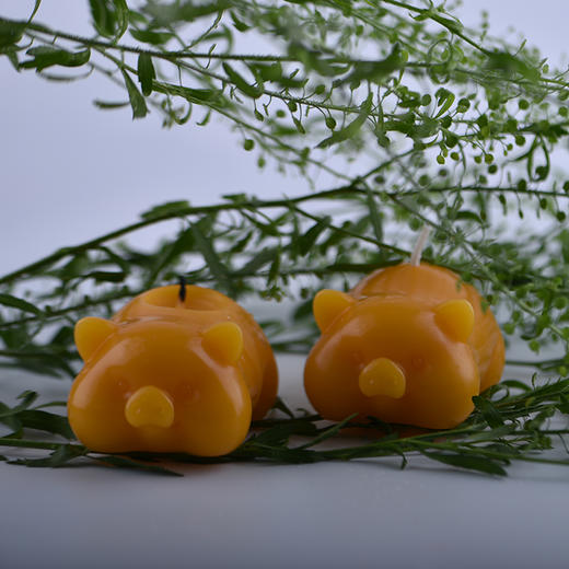 金猪生日蜡烛 商品图1