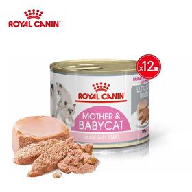 皇家天然进口离乳期猫奶糕罐头猫咪主食罐头195g/罐