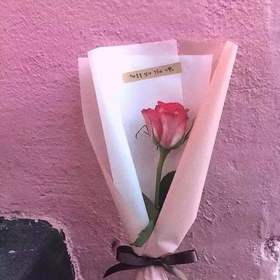 相爱的最高境界，其实只有两个字