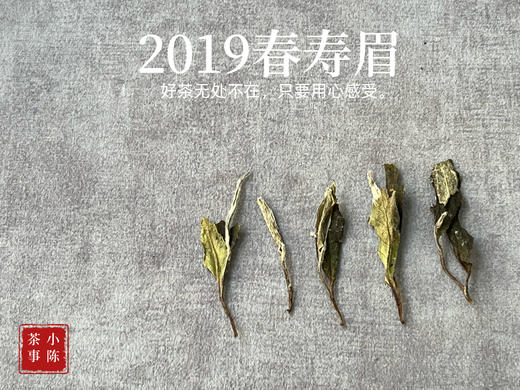 5年陈的花弄影，2019高山一级春寿眉，秀美清灵，丽色天成 商品图4