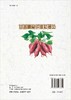 甘薯膳食纤维知多少/木泰华 马梦梅 商品缩略图1