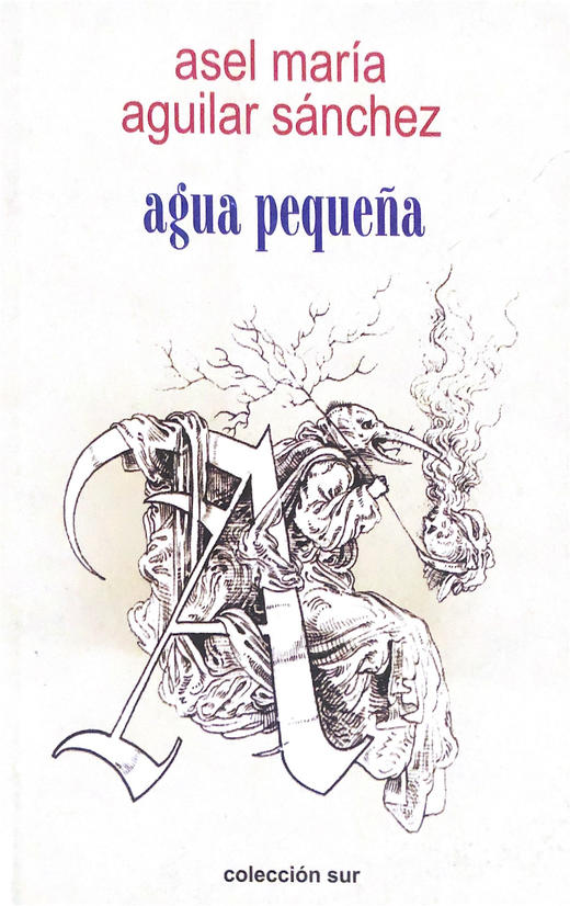 asel maria aguilar sanchez - agua pequena 商品图0