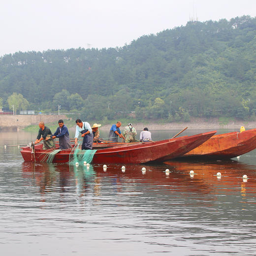 【掌柜推荐】2025年密云水库小众鱼提货卡 高端礼品卡提货券 鱼卡  水库鲤鱼、鳜鱼、武昌鱼  2种券可选 商品图5