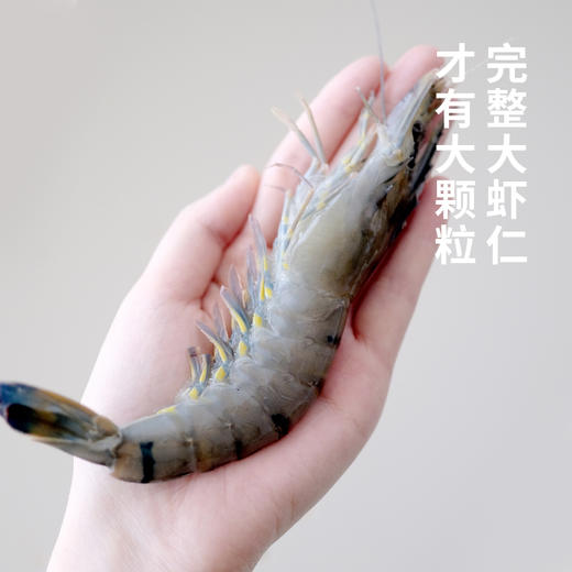 【代发】下厨房扑扑虾滑新鲜大颗粒版速食半成品家用营养火锅食材 商品图3